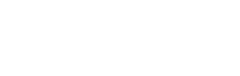 Brevity Consulting